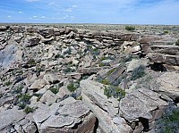 Newspaper rock FP (3).JPG